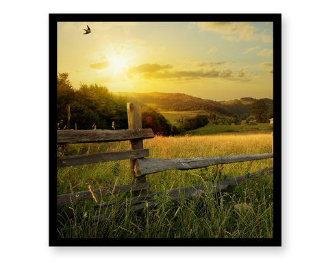 1:1方屏32英寸~98英寸